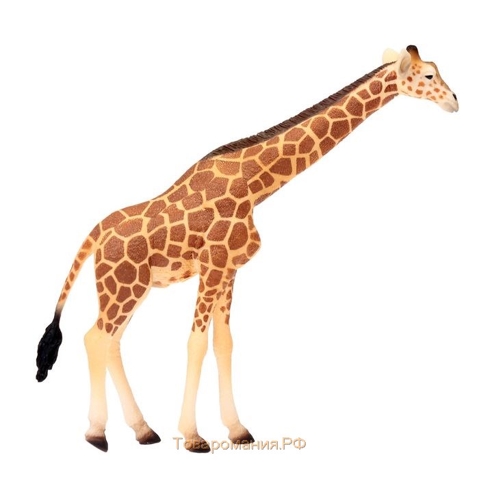 Фигурка «Сетчатый жираф»