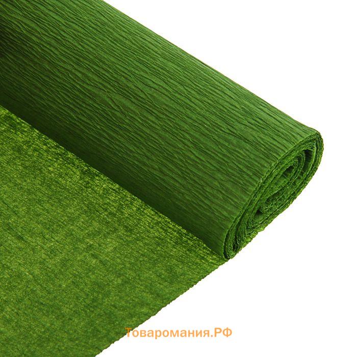 Бумага креповая поделочная гофро Koh-I-Noor 50 x 200 см 9755/20 оливковый, в рулоне