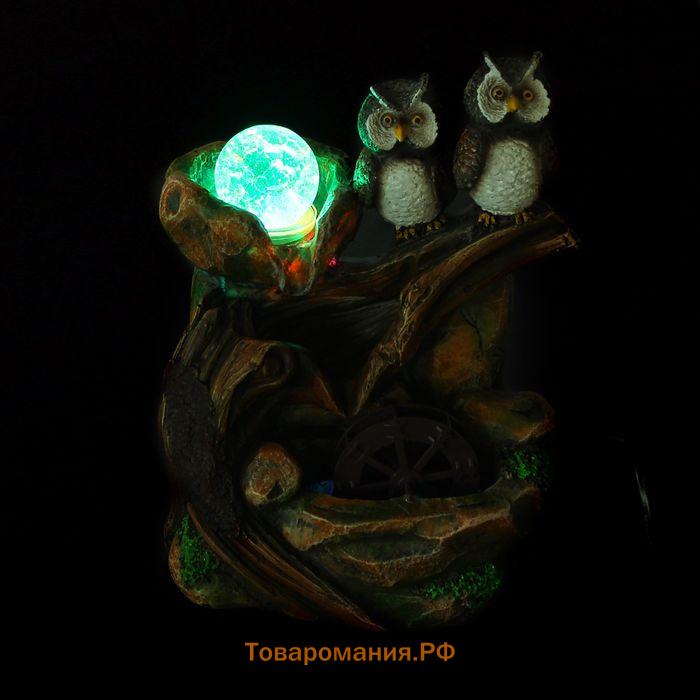 Фонтан настольный «Две совы у камня», 20.5×27 см, с подсветкой