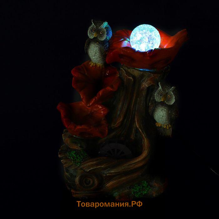 Фонтан настольный «Совушки», 21×28 см, с подсветкой