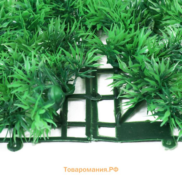 Декоративная панель, 60×40 см, «Аспарагус», Greengo