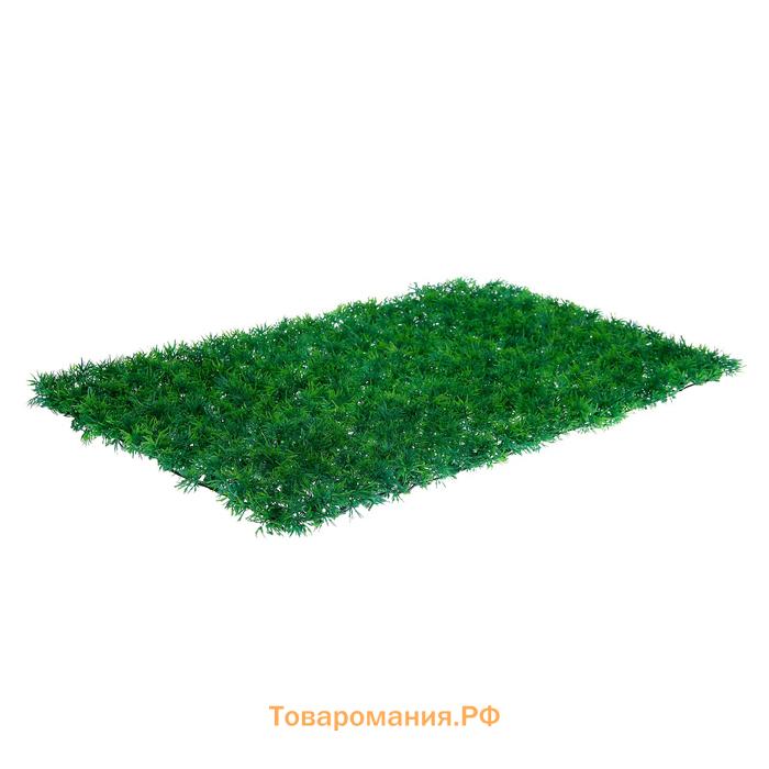 Декоративная панель, 60×40 см, «Аспарагус», Greengo