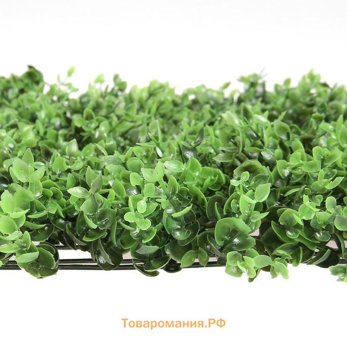 Декоративная панель, 60×40 см, «Самшит», Greengo