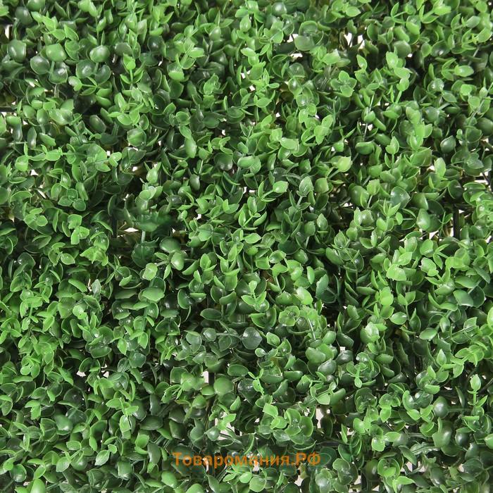 Декоративная панель, 60×40 см, «Самшит», Greengo