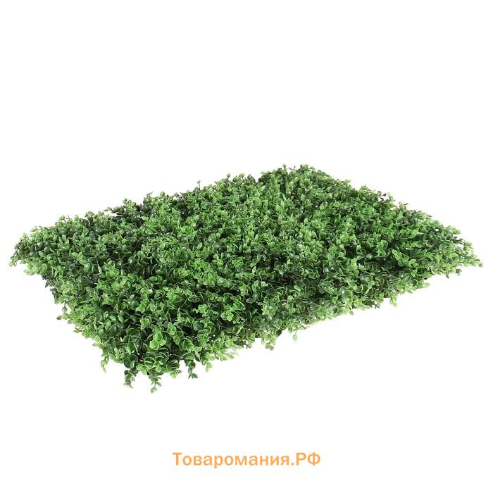 Декоративная панель, 60×40 см, «Самшит», Greengo