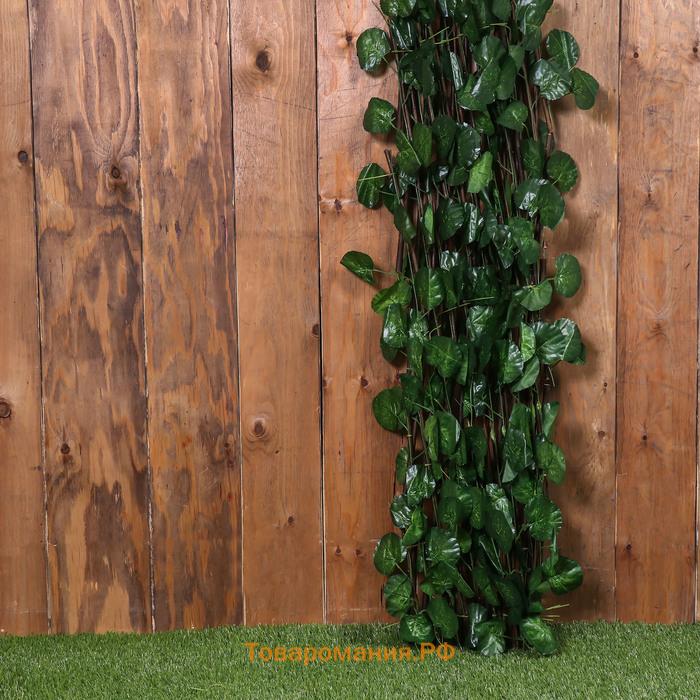 Ограждение декоративное, 175×70 см, «Лист ольхи», Greengo