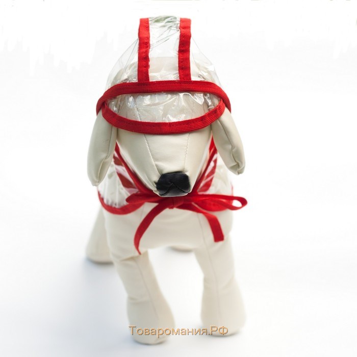 Дождевик с капюшоном для собак OSSO, р. 25 (ДС 25 см), прозрачный, окантовка микс цветов