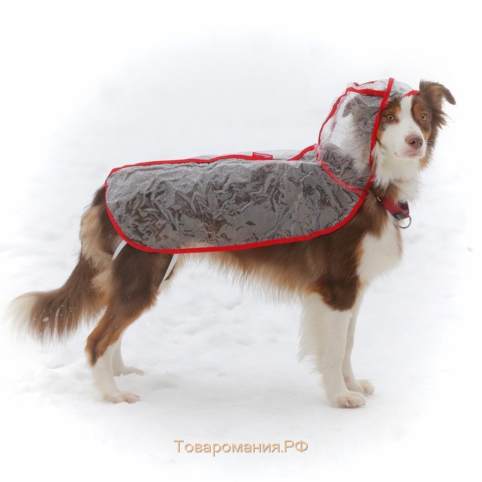 Дождевик с капюшоном для собак OSSO, р. 70 (ДС 70 см), прозрачный, окантовка микс цветов