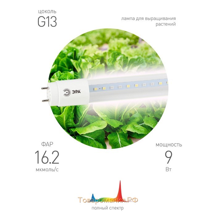 Фитолампа светодиодная, для растений, 9 Вт, 600 мм, IP20, полный спектр, бело-красная, «ЭРА»