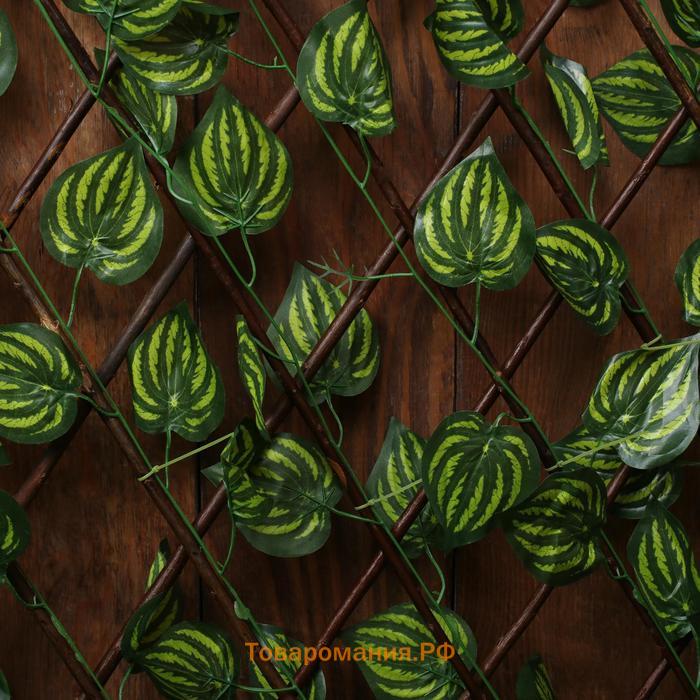 Ограждение декоративное, 175×70 см, «Лист осины», Greengo