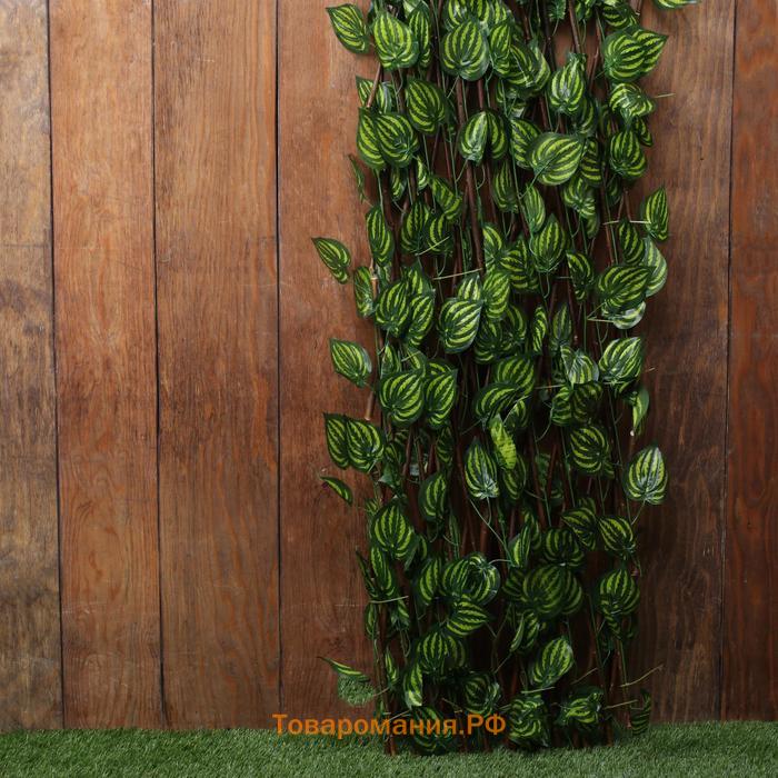 Ограждение декоративное, 175×70 см, «Лист осины», Greengo