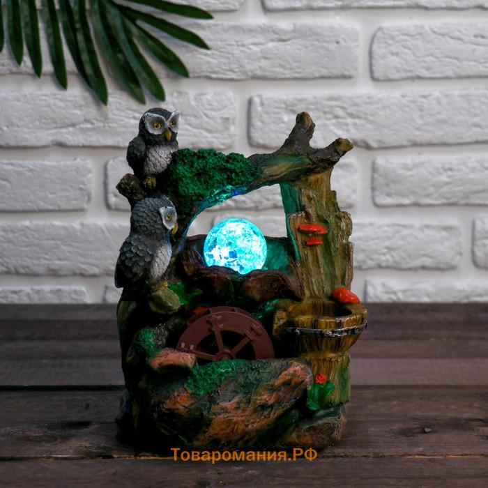 Фонтан настольный «Дворик. Совушки», 30×20 см, с подсветкой