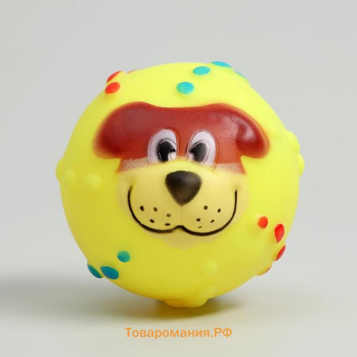 Игрушка пищащая "Мяч Джим" для собак, 6 см, жёлтая