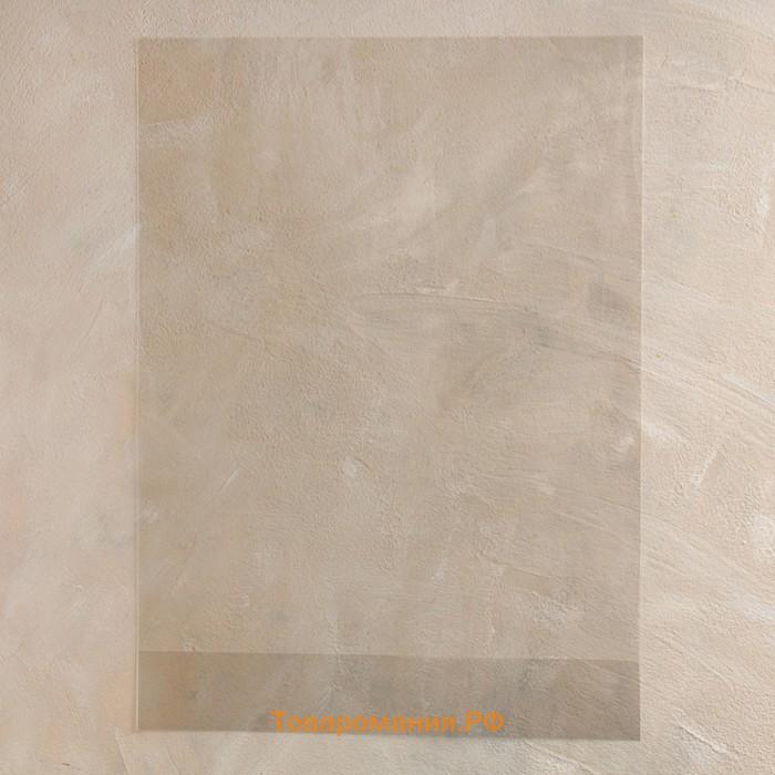 Пакет полипропиленовый фасовочный, с донной складкой, прозрачный, 26×36×4 см