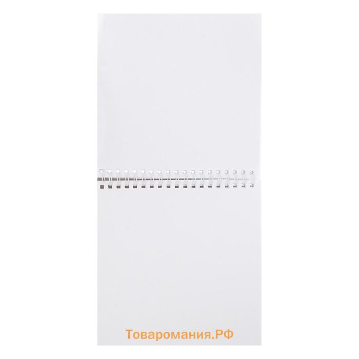 Скетчбук Calligrata, 170 х 170 мм, 50 листов, твёрдая обложка, "Кактусы", металлизированный картон с объёмным рисунком, блок 100 г/м2