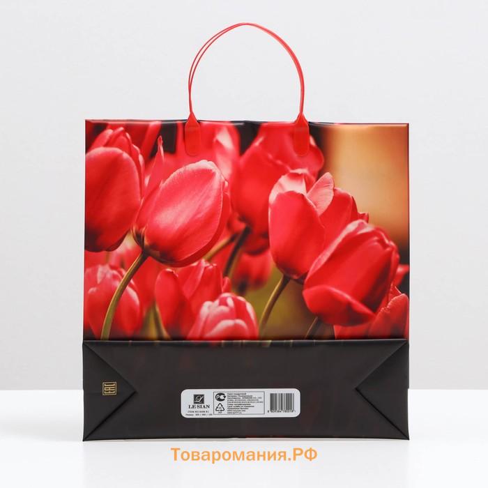 Пакет «Тюльпаны», мягкий пластик, 30×30 см, 120 мкм