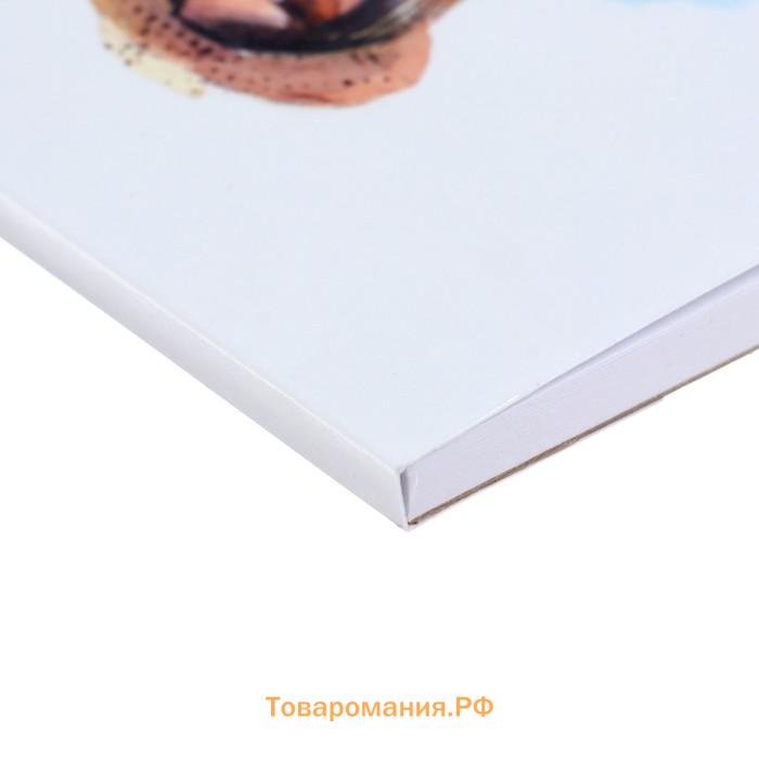 Скетчбук А5, 40 листов, на склейке, "Красота мгновения", обложка мелованная бумага, жёсткая подложка, блок 100 г/м²
