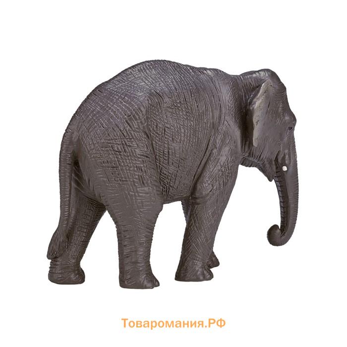 Фигурка Konik «Азиатский слон»