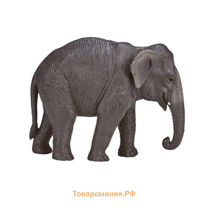 Фигурка Konik «Азиатский слон»
