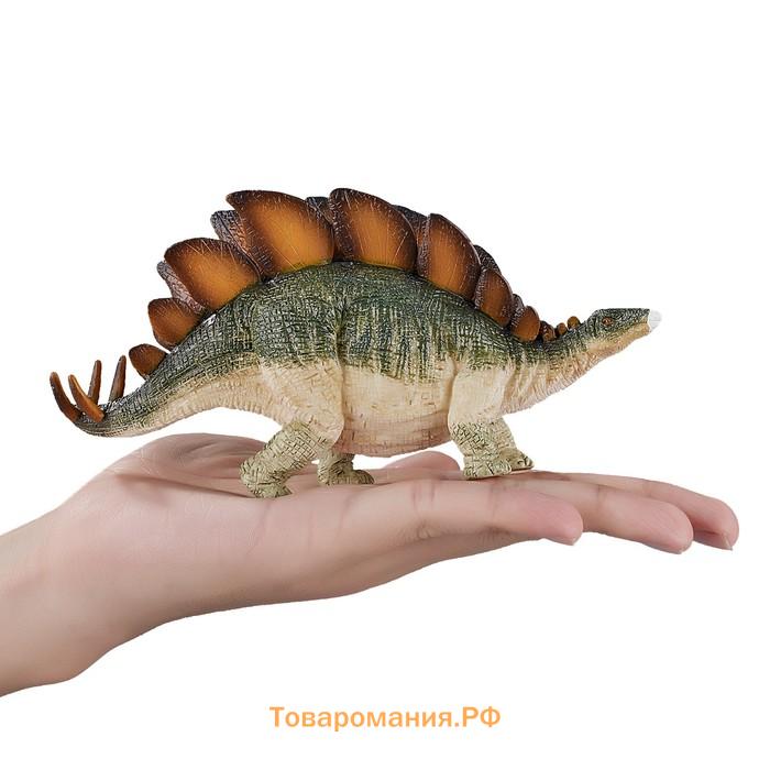 Фигурка Konik «Стегозавр, зелёный»