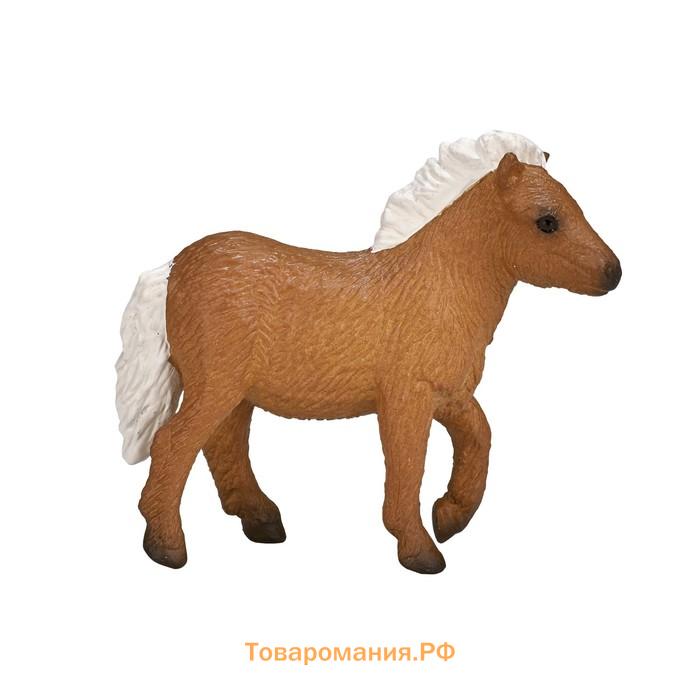 Фигурка Konik «Шетлендский пони, жеребёнок»