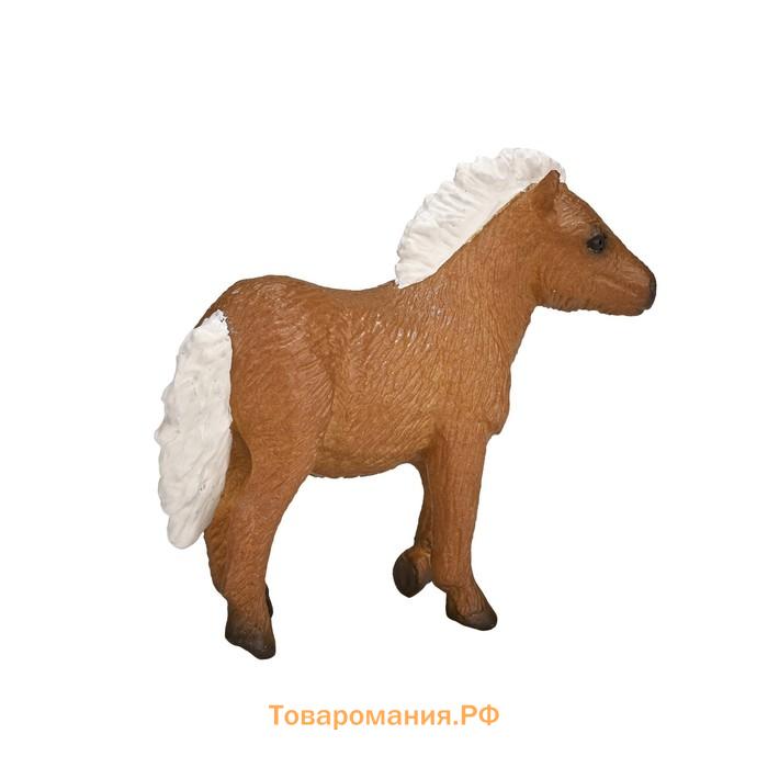 Фигурка Konik «Шетлендский пони, жеребёнок»