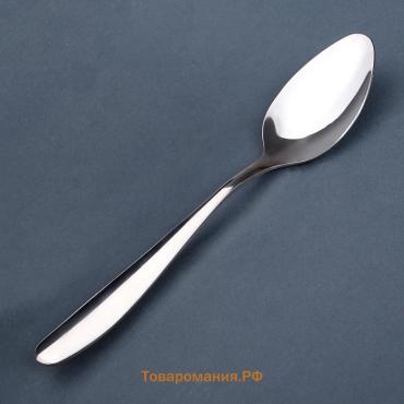 Ложка столовая из нержавеющей стали, длина 20 см, серебристая