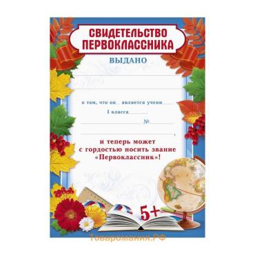 Грамота школьная на 1 сентября «Свидетельство первоклассника», А5, 157 г/м².
