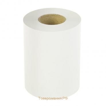 Чековая лента термо 80 мм 50 м, 80х12х50, 48 г/м2