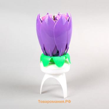 Свеча для торта музыкальная «Тюльпан», крутящаяся, фиолетовая, 14.5×6 см