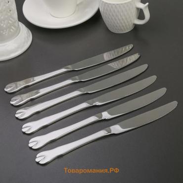 Набор ножей столовых из нержавеющей стали  «Капля», длина 23 см, 6 шт., серебристый