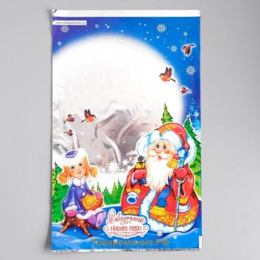 Пакет подарочный «Зимняя опушка», 25×40 см
