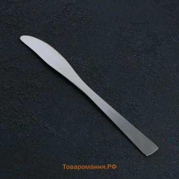 Нож столовый из нержавеющей стали  Gleen, длина 22 см, толщина 2 мм, серебристый