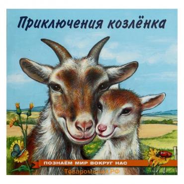 Книжка «Приключения козлёнка», 16 стр., познаём мир вокруг нас