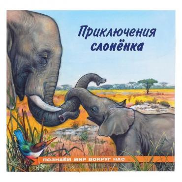 Книжка «Приключения слонёнка», 16 стр., познаём мир вокруг нас