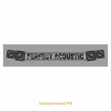 Полоса на лобовое стекло "PERFECT ACOUSTIC", серебро, 1300 х 170 мм