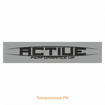 Полоса на лобовое стекло "ACTIUE", серебро, 1600 х 170 мм