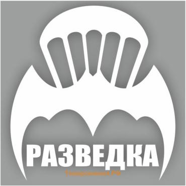 Наклейка "Эмблема Разведка", плоттер, 200 х 200 мм, белая