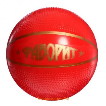 Мяч «Фаворит», диаметр — 200 мм